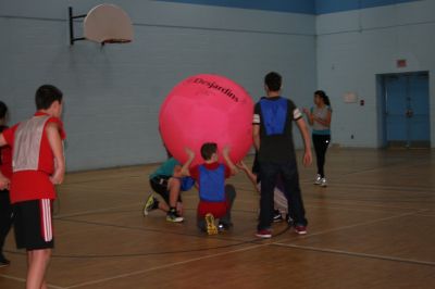 Cliquer pour voir l'image en taille réelle