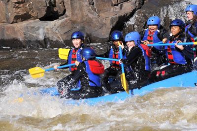 Cliquer pour voir l'image en taille réelle