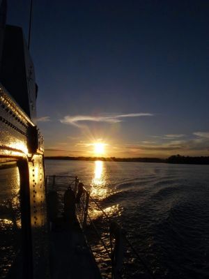 Cliquer pour voir l'image en taille réelle