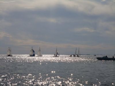 Cliquer pour voir l'image en taille réelle