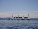 5930_135510859768_6016383_n.jpg