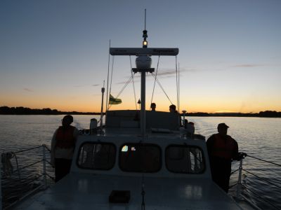 Cliquer pour voir l'image en taille réelle