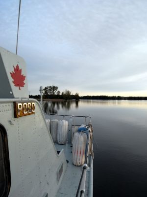 Cliquer pour voir l'image en taille réelle